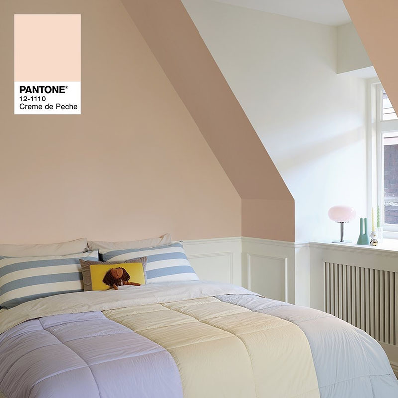 PANTONE 12-1110